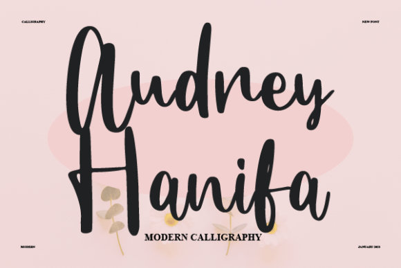 Audrey Hanifa Font Review