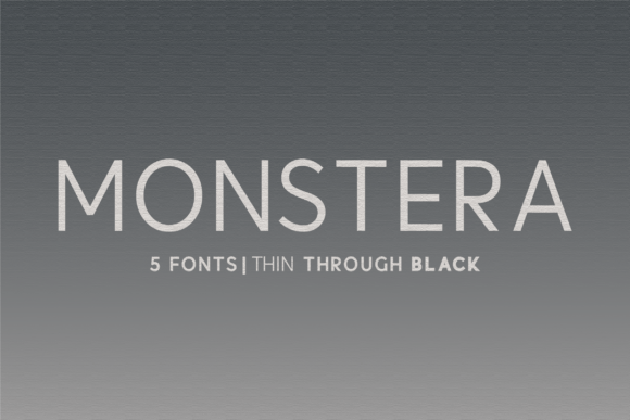 Monstera Font for Handmade Creations